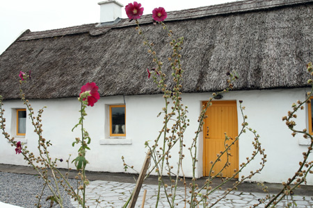 Tata_Malgosia_Lukasz_2009_25