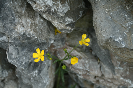 Tata_Malgosia_Lukasz_2009_35