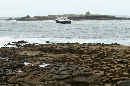 Tata_Malgosia_Lukasz_2009_59