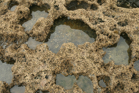 Tata_Malgosia_Lukasz_2009_62