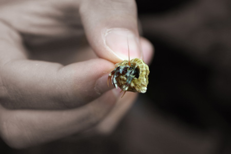 Tata_Malgosia_Lukasz_2009_67