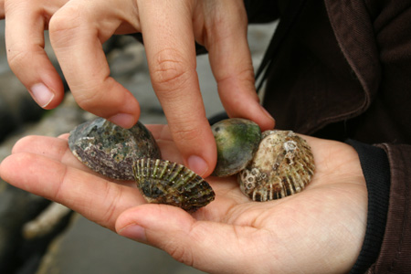 Tata_Malgosia_Lukasz_2009_74