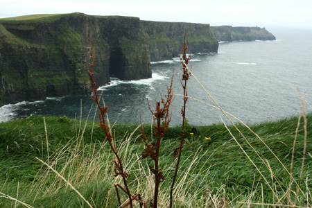 Tata_Malgosia_Lukasz_2009_83