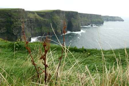 Tata_Malgosia_Lukasz_2009_84