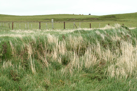 Tata_Malgosia_Lukasz_2009_90