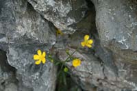 Tata_Malgosia_Lukasz_2009_35