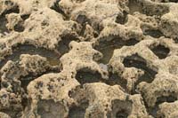 Tata_Malgosia_Lukasz_2009_63