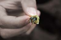 Tata_Malgosia_Lukasz_2009_67