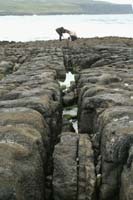 Tata_Malgosia_Lukasz_2009_73