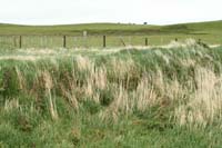 Tata_Malgosia_Lukasz_2009_90